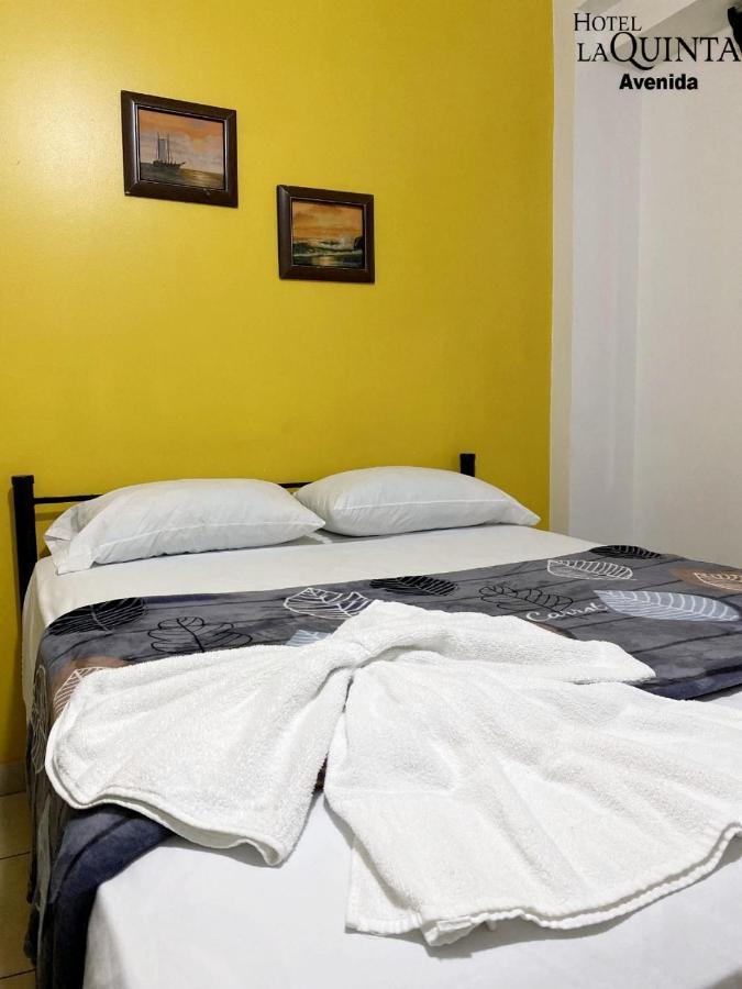 Hotel Quinta Avenida سان هوزيه المظهر الخارجي الصورة