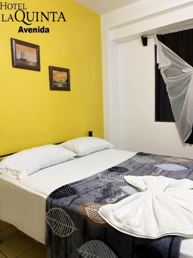 Hotel Quinta Avenida سان هوزيه المظهر الخارجي الصورة