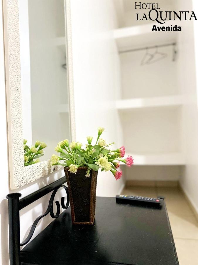 Hotel Quinta Avenida سان هوزيه المظهر الخارجي الصورة
