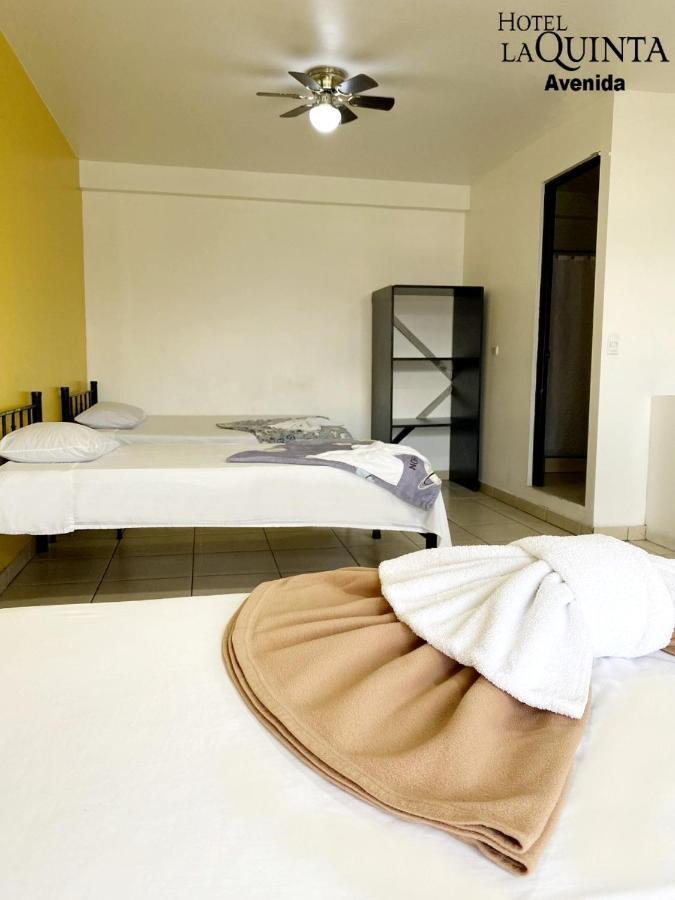 Hotel Quinta Avenida سان هوزيه المظهر الخارجي الصورة
